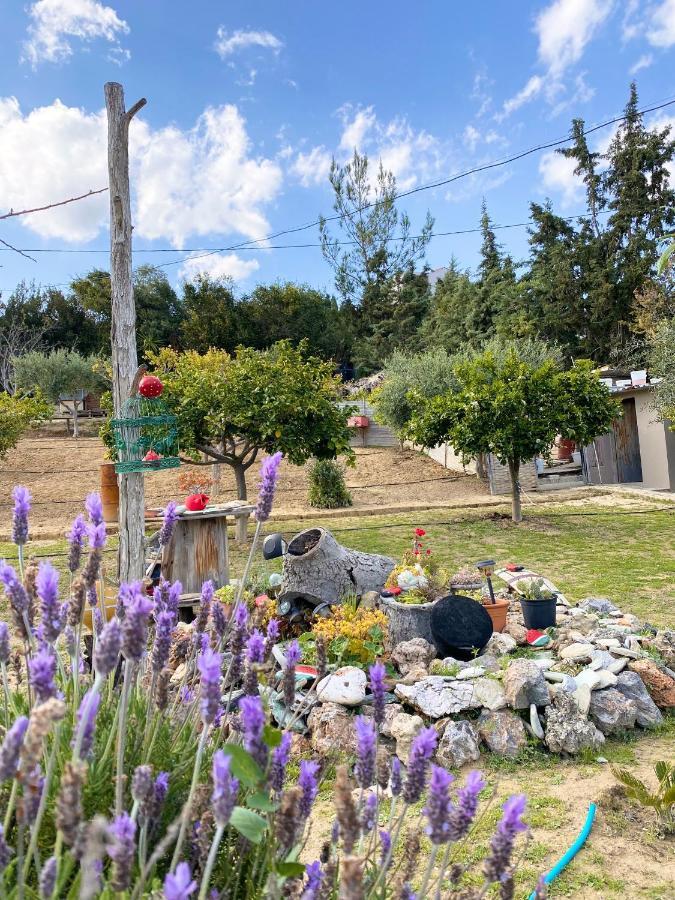 La Casa De Campo Heraklion  Ngoại thất bức ảnh