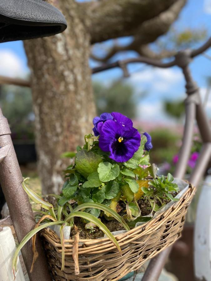 La Casa De Campo Heraklion  Ngoại thất bức ảnh