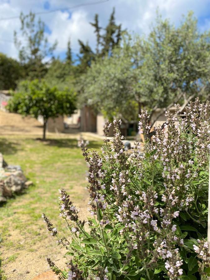 La Casa De Campo Heraklion  Ngoại thất bức ảnh