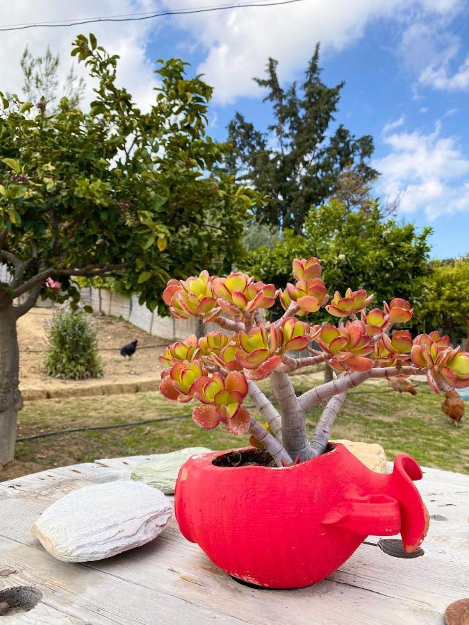 La Casa De Campo Heraklion  Ngoại thất bức ảnh