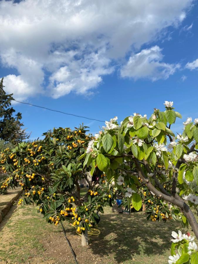 La Casa De Campo Heraklion  Ngoại thất bức ảnh