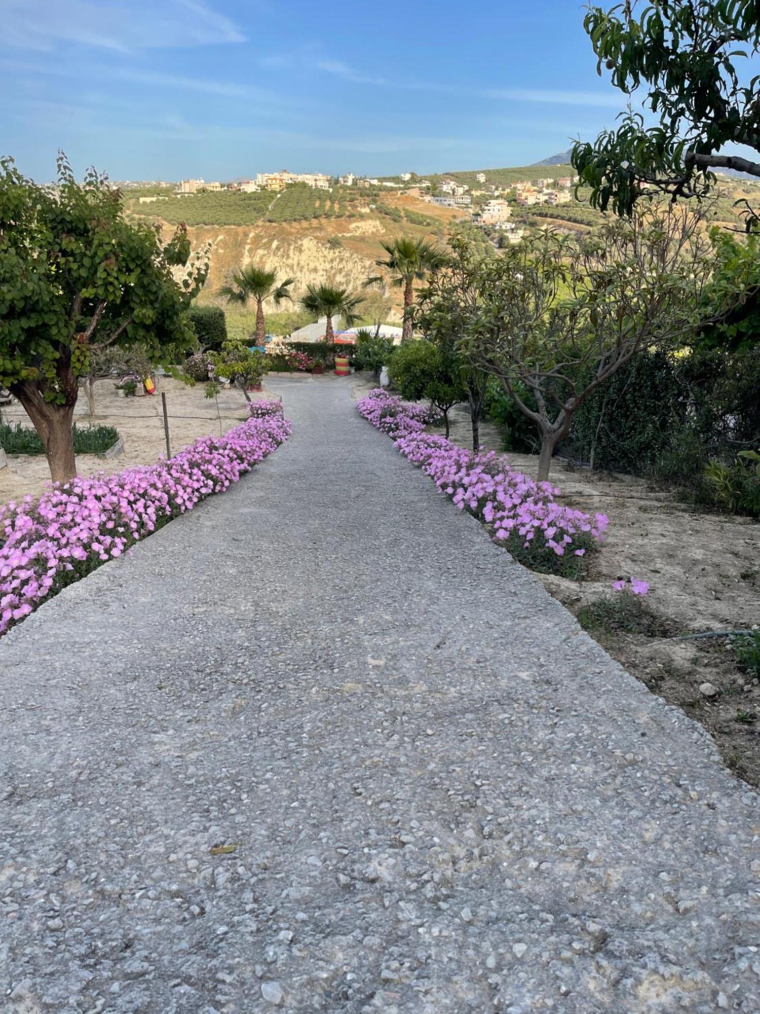 La Casa De Campo Heraklion  Ngoại thất bức ảnh